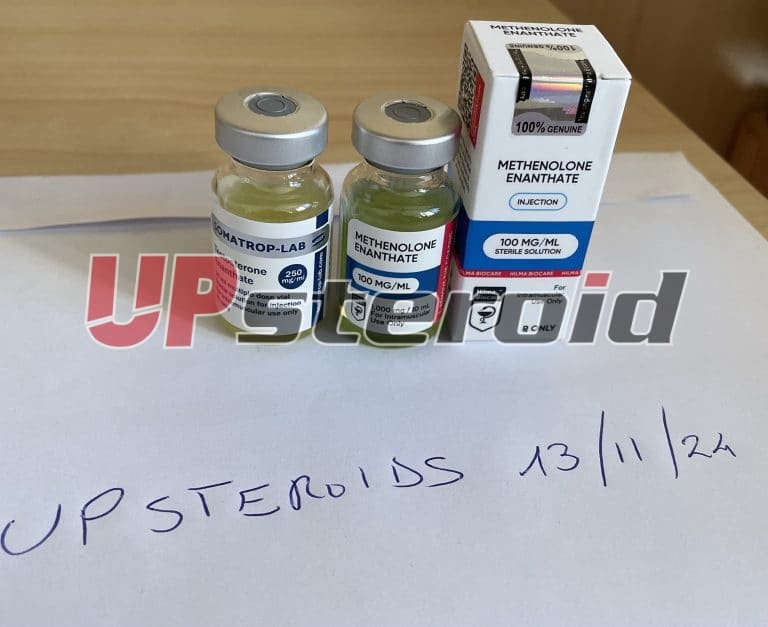 2024년 11월 14일 6735e98a7b787 IMG 6715