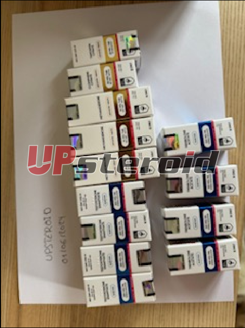 2024 11 26 67458cf3db30a 캡처된 crandu2024 11 2608 53 56