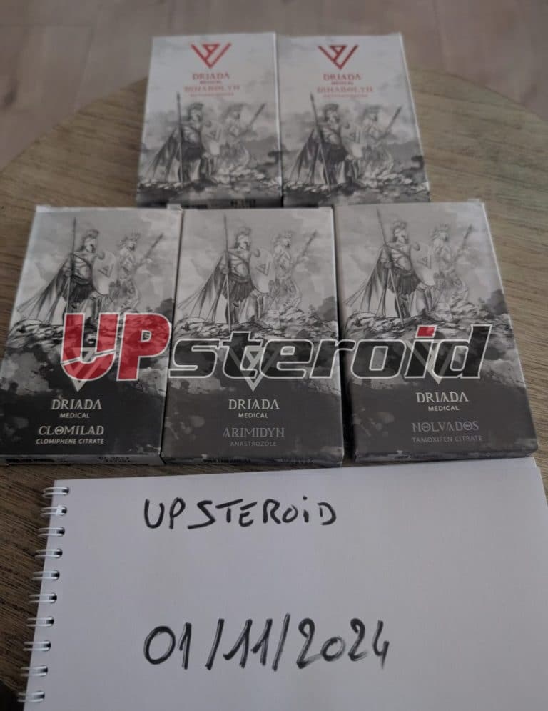 2024 12 27 676e8f1680731 스크린샷 20241227 122649