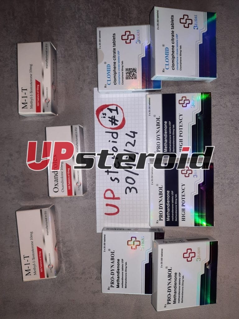 2024 12 31 6774061083b49 업스테로이드3