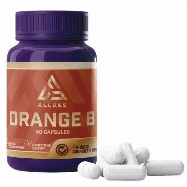 알라에스 오렌지 B 드리아다 메디컬