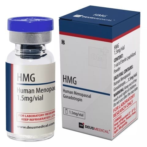 HMG 2