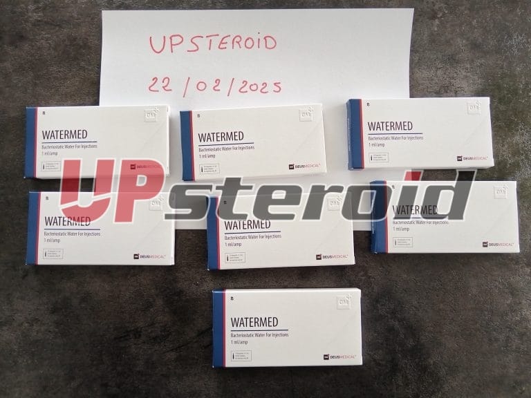 2025 02 25 67bdaf54419d5 사진1a