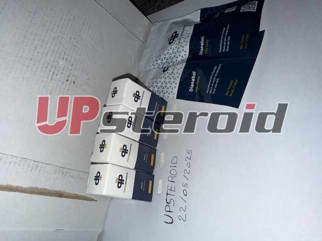 2025 05 26 68345fe1df6f2 이미지0