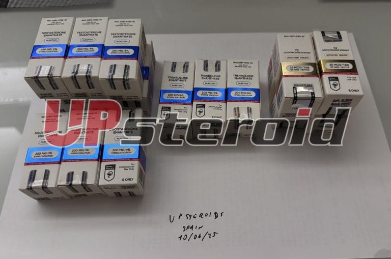 2025 06 12 684a84693067a 사진12 6 25053403