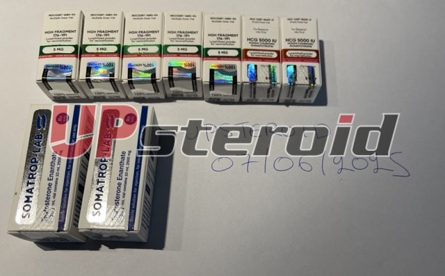 2025 07 07 686bc8c3c46f9 t중형