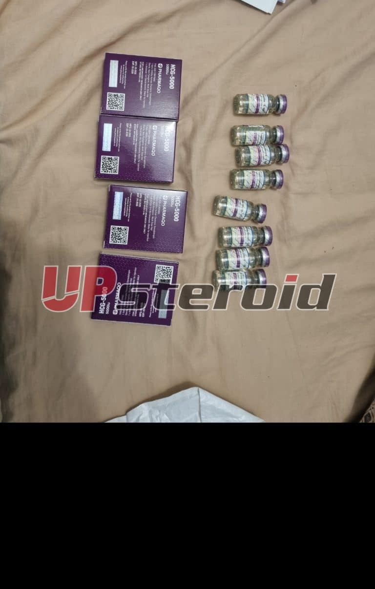 2025 08 04 68913be446f01 스크린샷 20250805 010032 갤러리