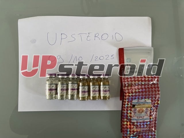 2025 10 09 68e7a0c998d63 이미지0