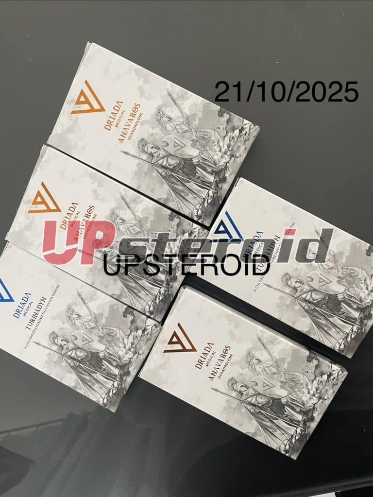 2025년 10월 21일 68f79a487a317 IMG 0494