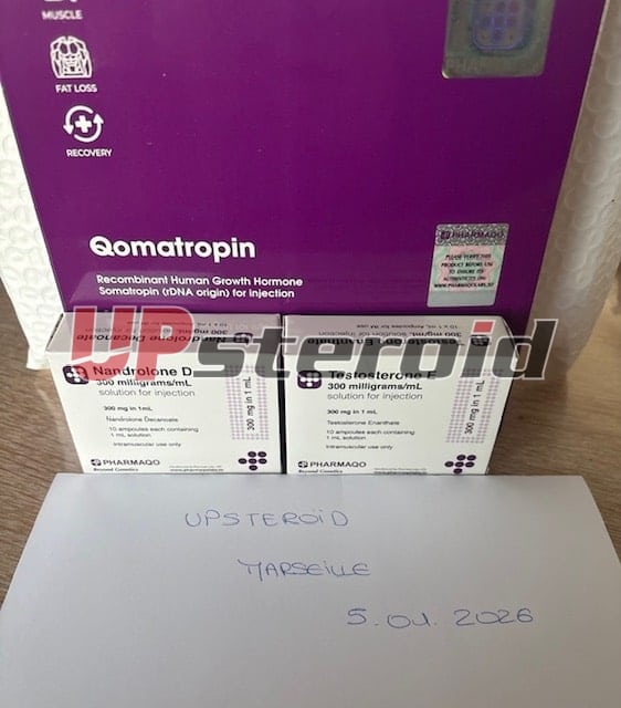 2026 01 06 695cc7139e385 이미지0