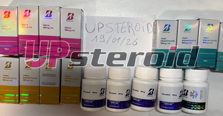 2026 01 20 696f4b16433aa 스크린샷2026 01 20at09 27 50티켓776509