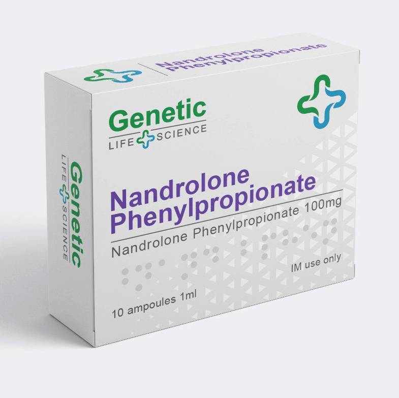 유전적 npp 10암페어