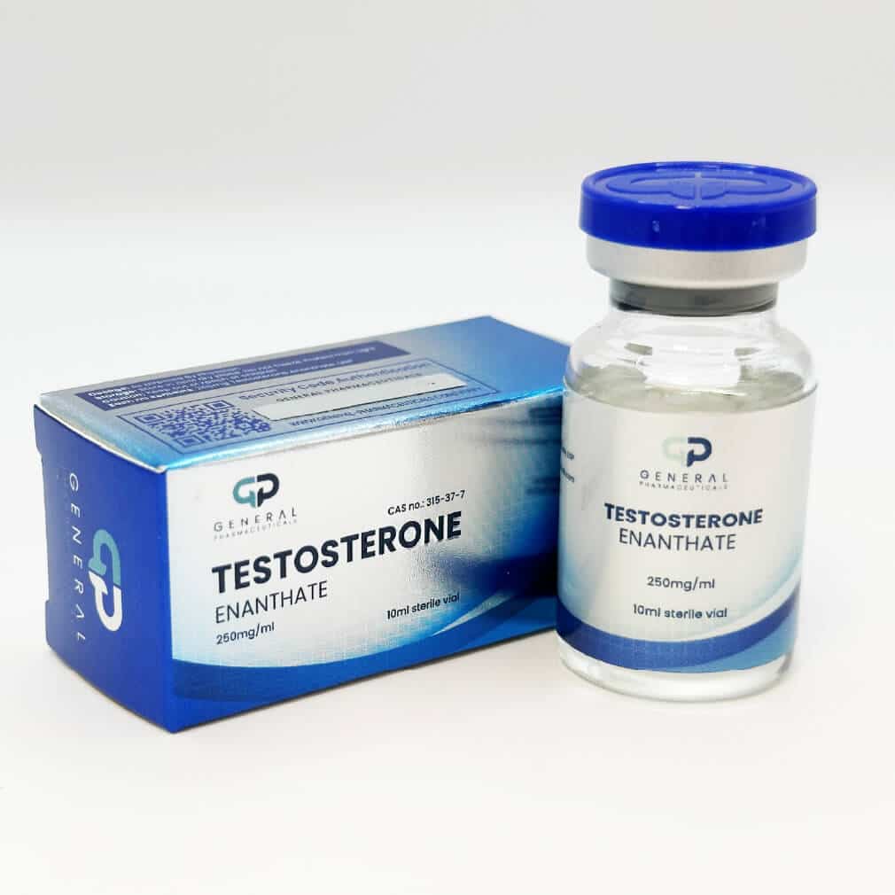 테스토스테론 에난테이트 250mg 10ml - 제너럴-파마
